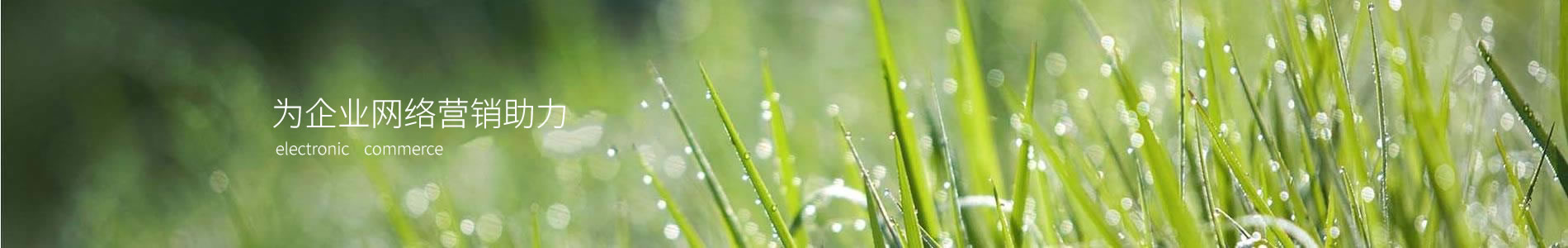ӱݻ豸޹˾